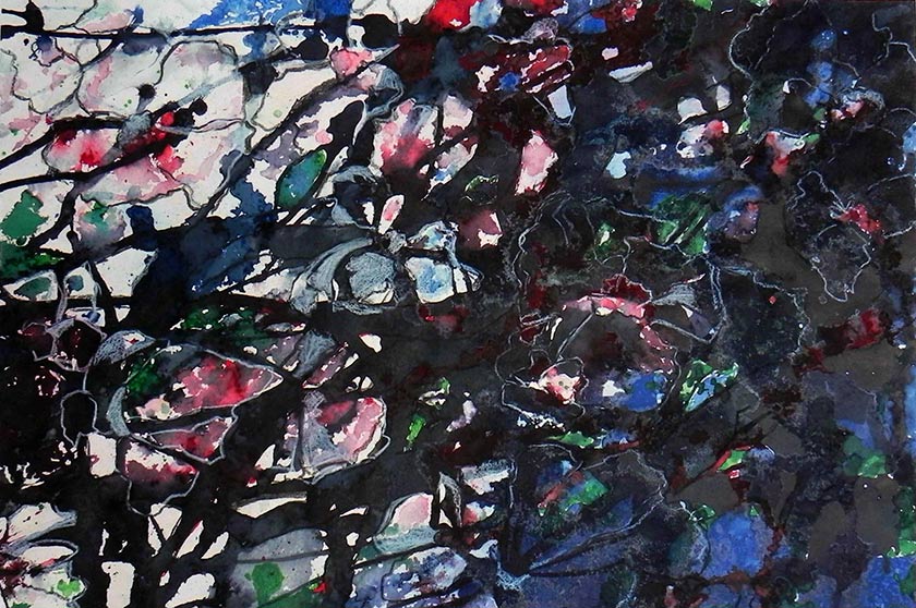 Trauer um die Kirschblüten