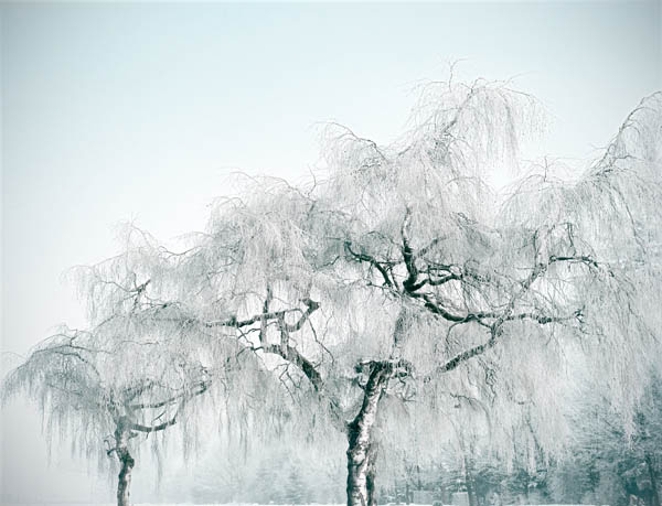 Fotografie von Margarita Platis