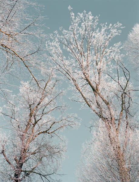 Fotografie von Margarita Platis