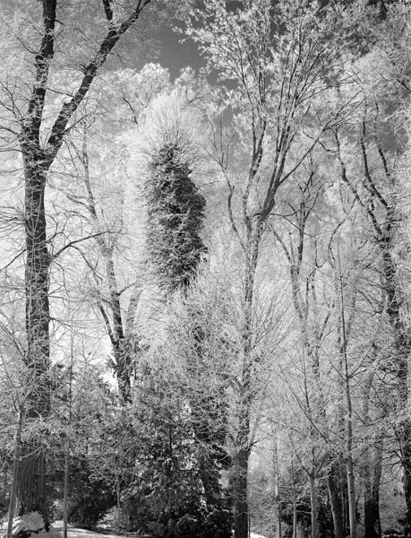 Fotografie von Margarita Platis