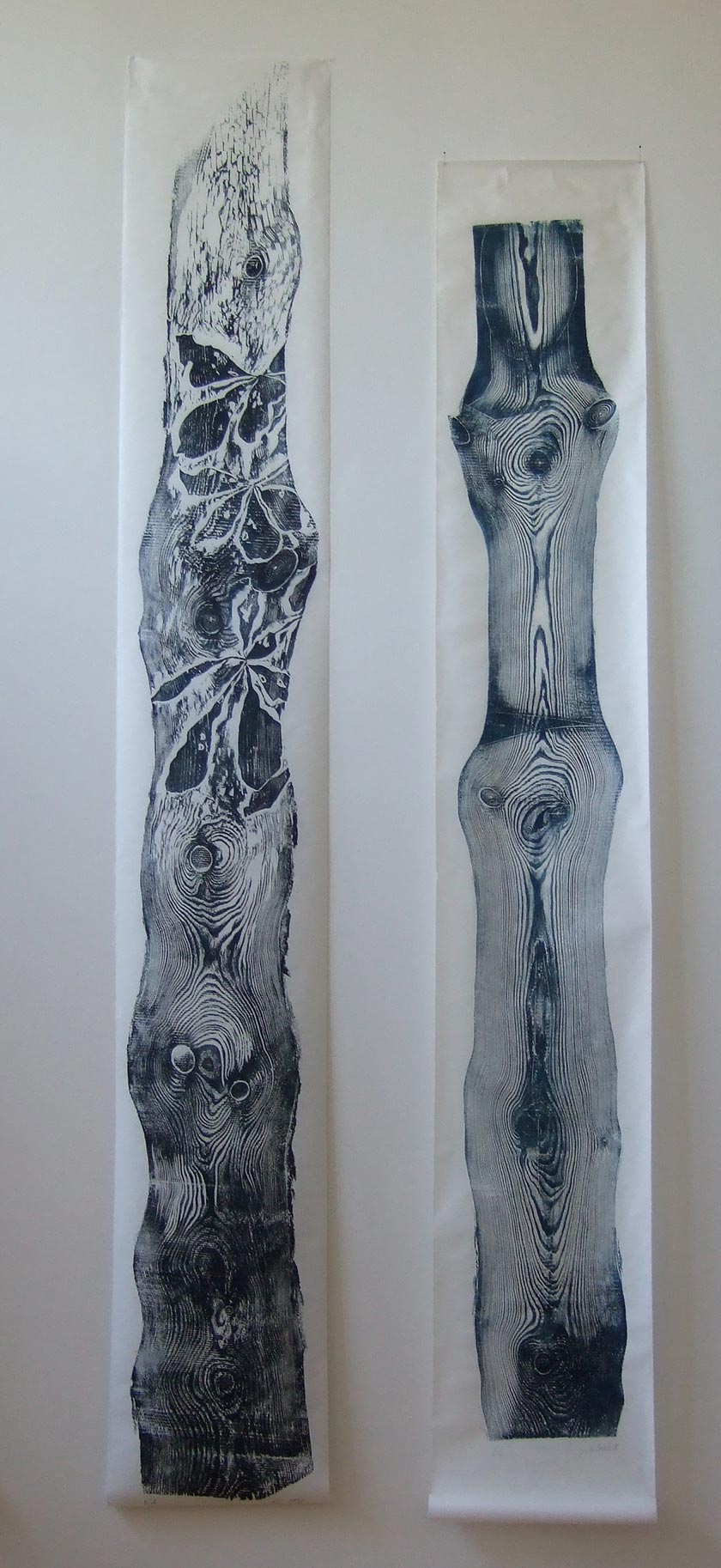 zwei aus einem Stamm 40x250 u 40x280cm